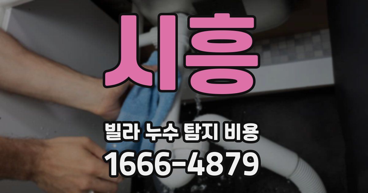 시흥 빌라 누수 탐지 비용
