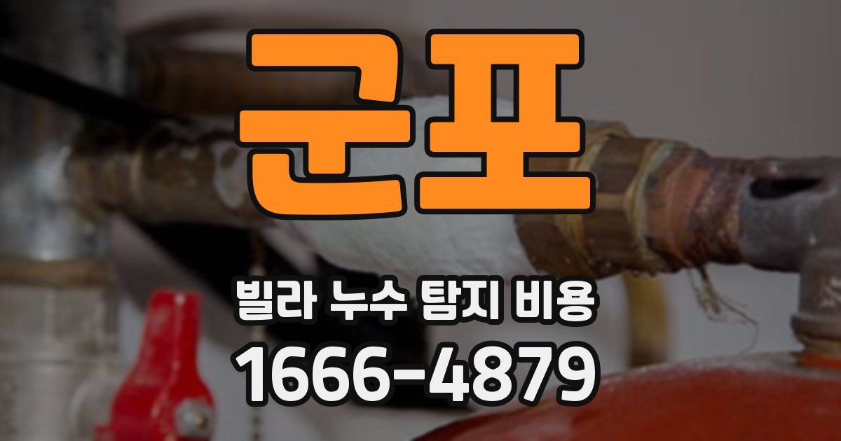 군포 빌라 누수 탐지 비용