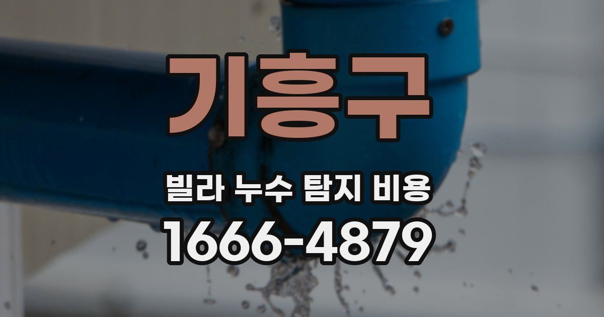 기흥구 빌라 누수 탐지 비용
