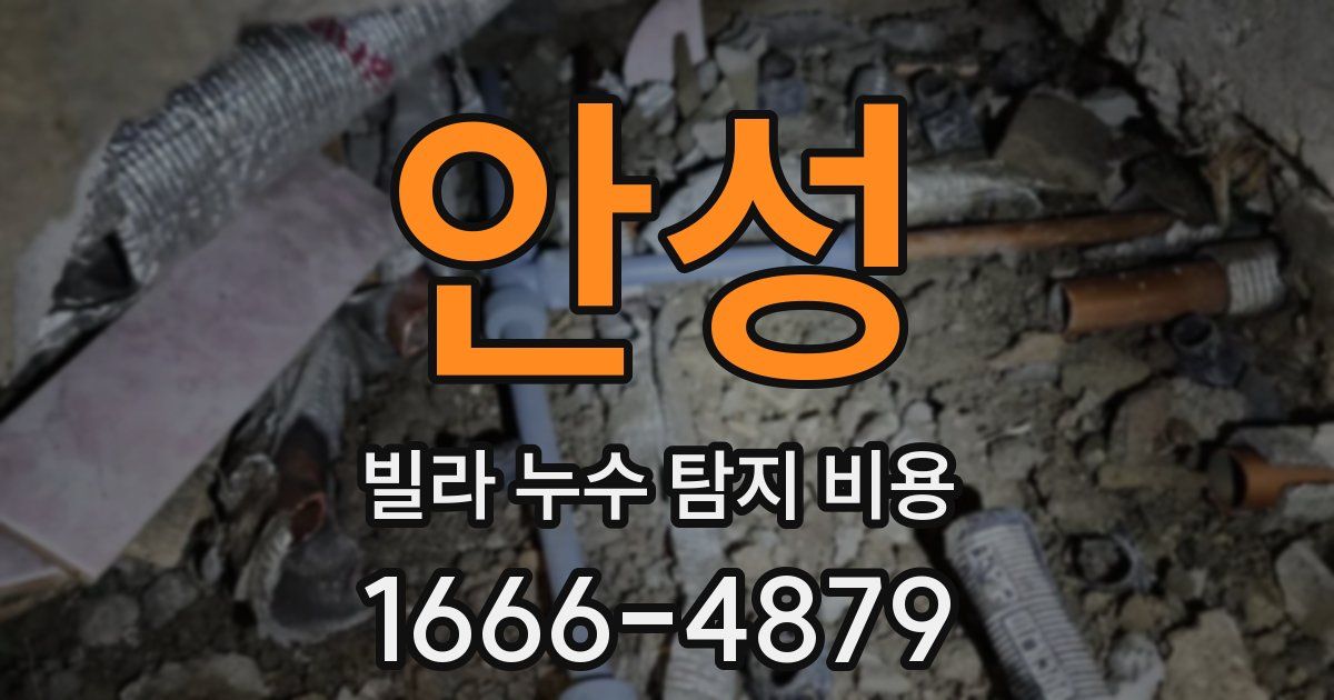안성 빌라 누수 탐지 비용
