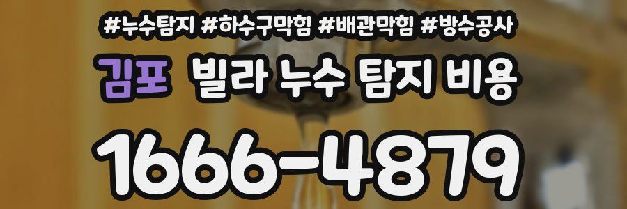 김포 빌라 누수 탐지 비용