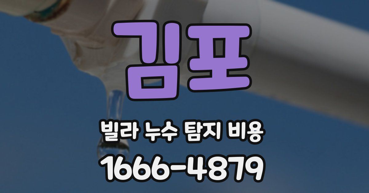 김포 빌라 누수 탐지 비용