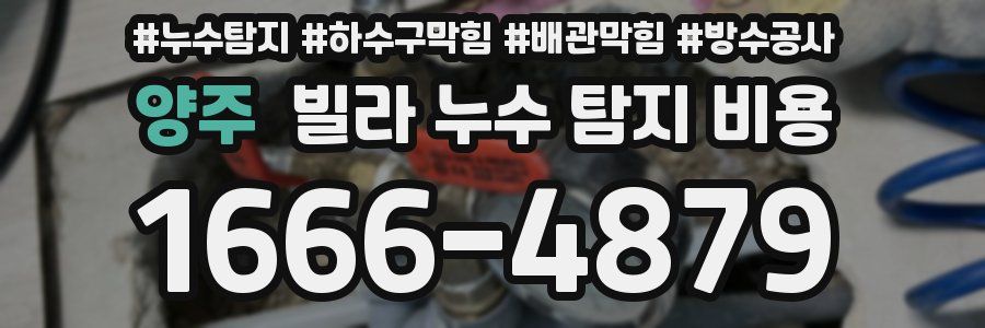 양주 빌라 누수 탐지 비용