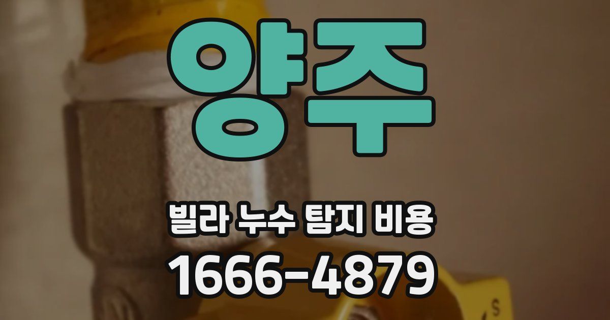 양주 빌라 누수 탐지 비용