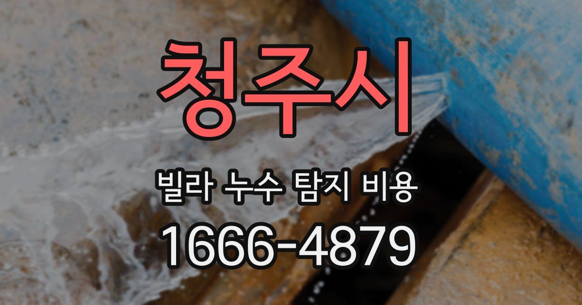 청주시 빌라 누수 탐지 비용