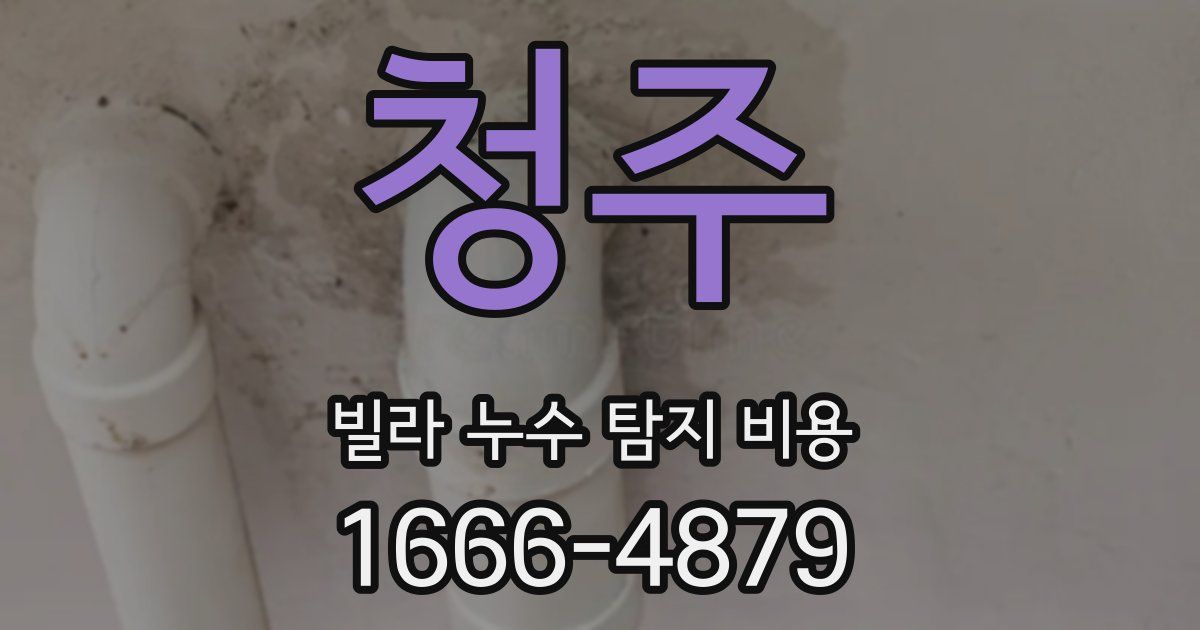 청주 빌라 누수 탐지 비용