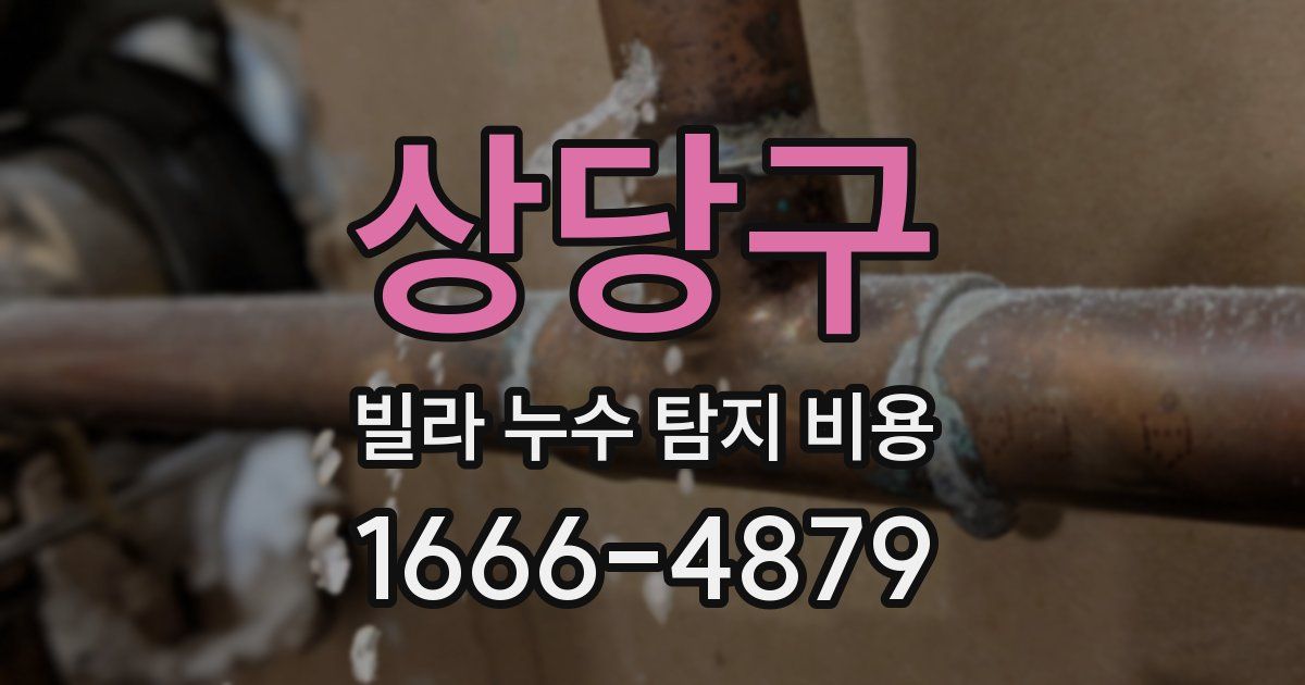 상당구 빌라 누수 탐지 비용
