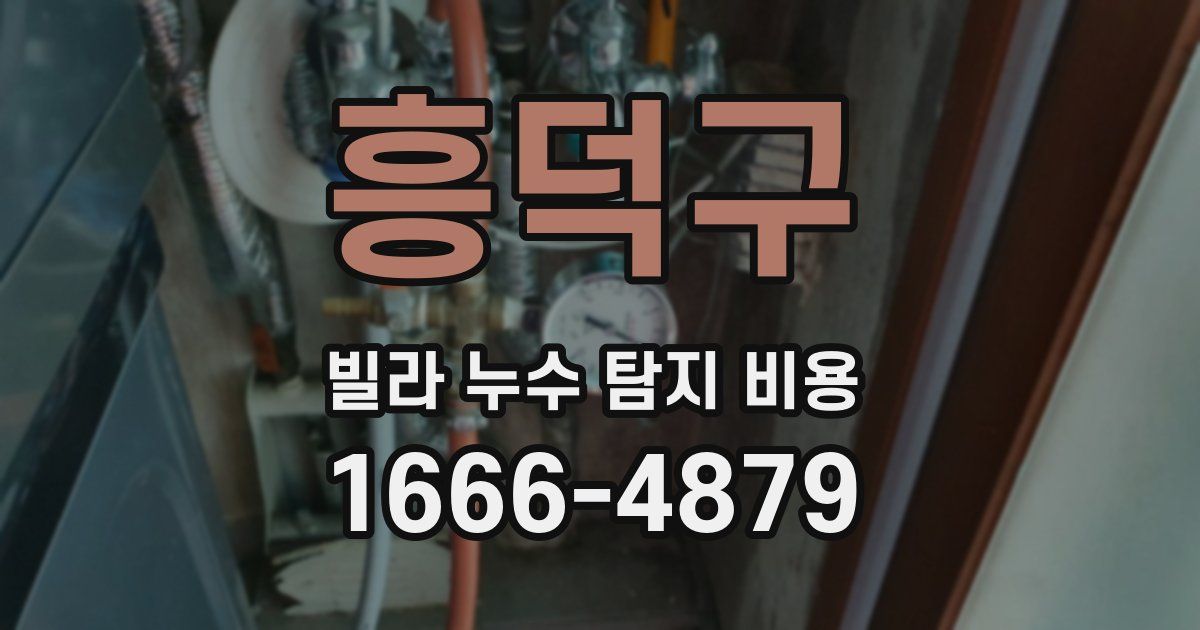 흥덕구 빌라 누수 탐지 비용