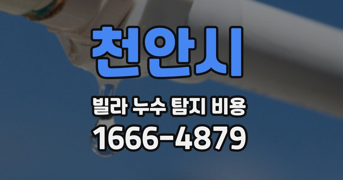 천안시 빌라 누수 탐지 비용