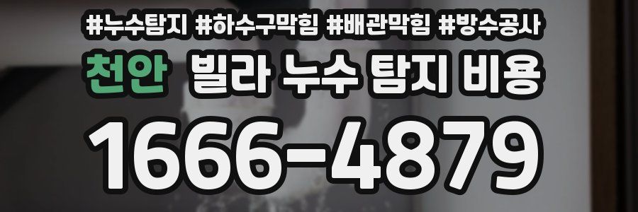 천안 빌라 누수 탐지 비용