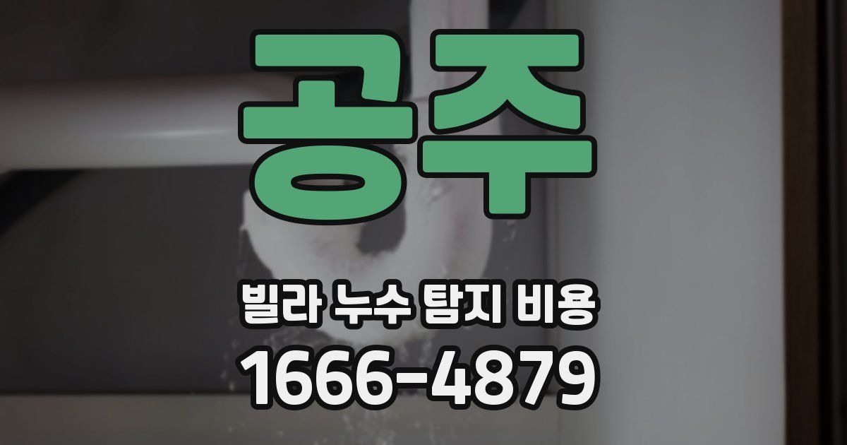 공주 빌라 누수 탐지 비용
