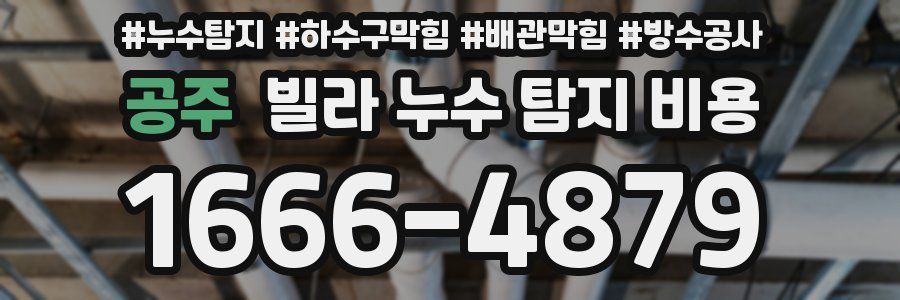 공주 빌라 누수 탐지 비용