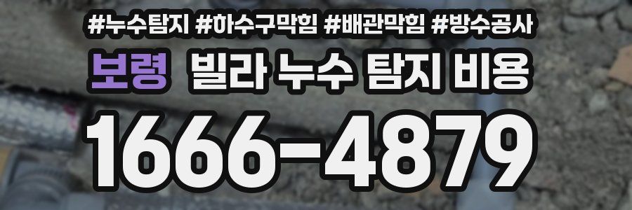 보령 빌라 누수 탐지 비용