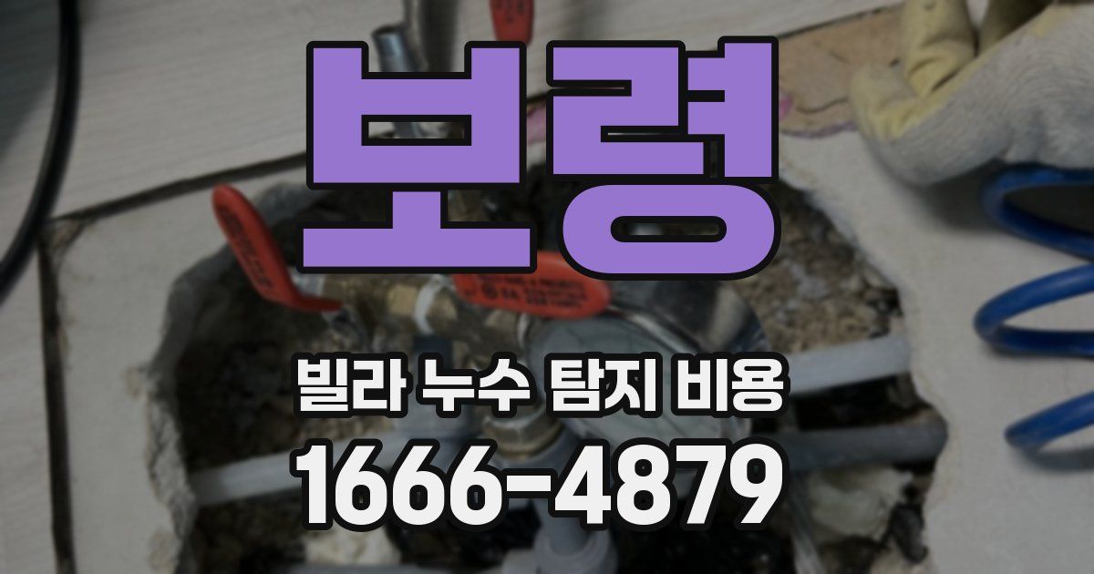 보령 빌라 누수 탐지 비용