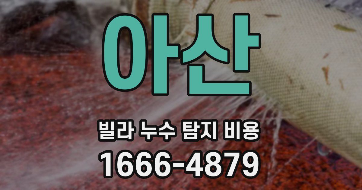 아산 빌라 누수 탐지 비용