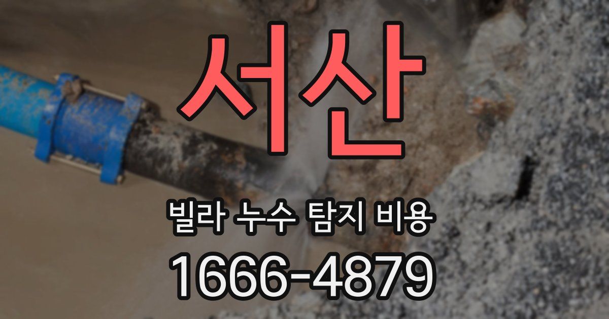 서산 빌라 누수 탐지 비용