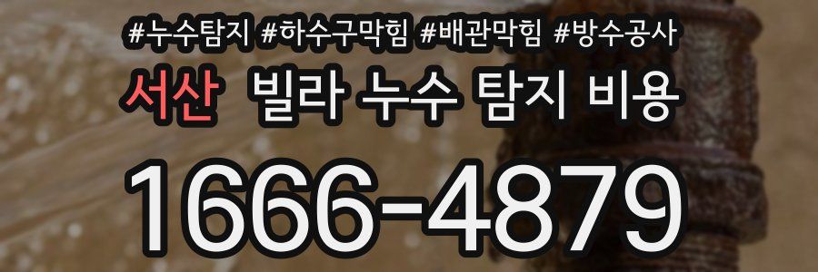 서산 빌라 누수 탐지 비용