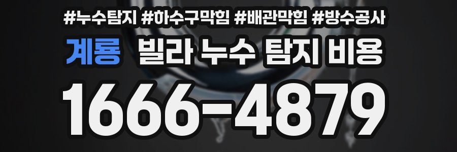 계룡 빌라 누수 탐지 비용