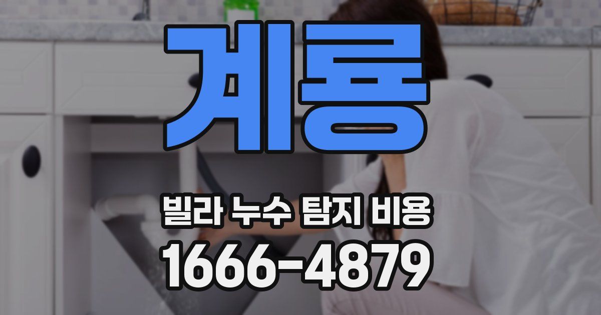계룡 빌라 누수 탐지 비용