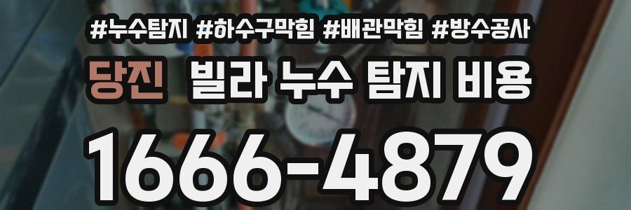 당진 빌라 누수 탐지 비용