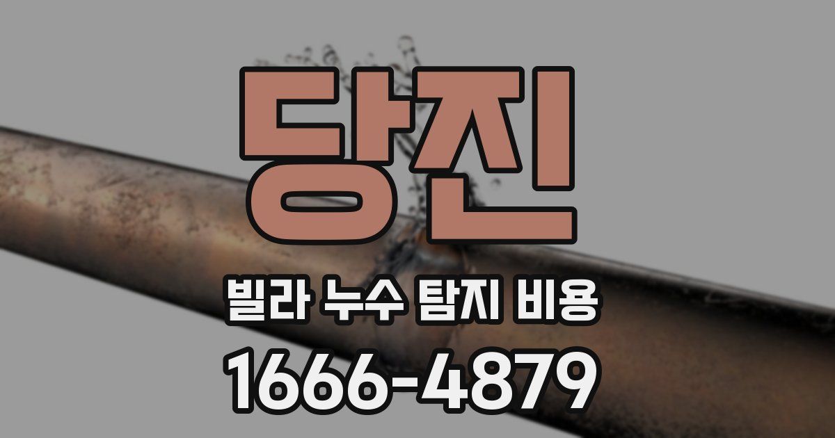 당진 빌라 누수 탐지 비용