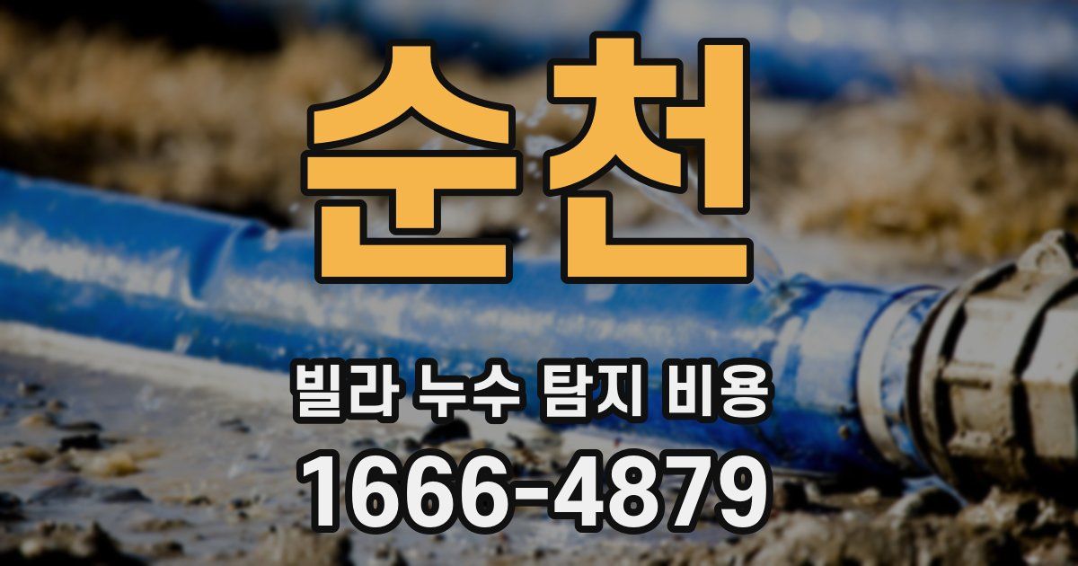 순천 빌라 누수 탐지 비용
