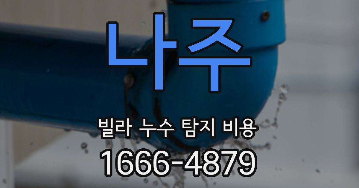 나주 빌라 누수 탐지 비용