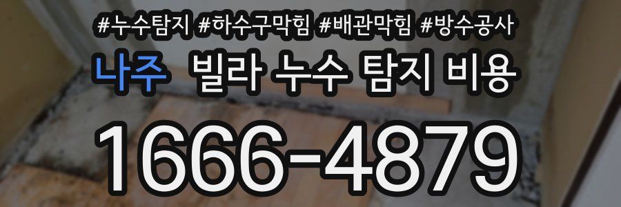 나주 빌라 누수 탐지 비용