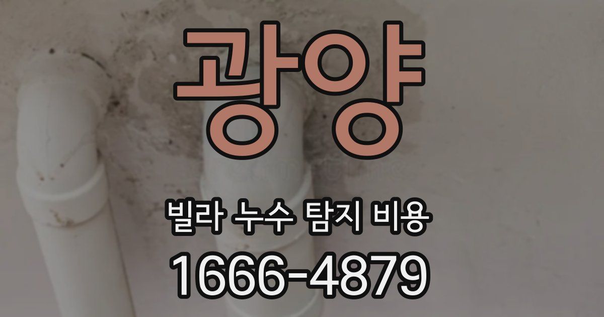 광양 빌라 누수 탐지 비용
