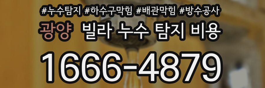 광양 빌라 누수 탐지 비용
