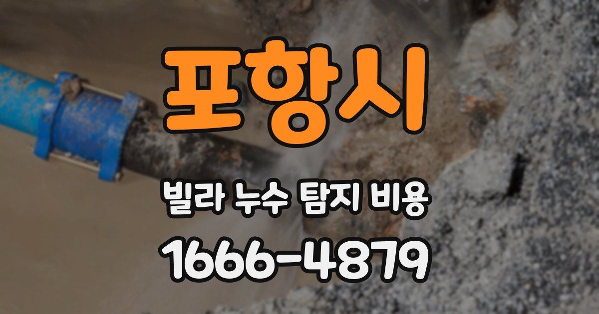 포항시 빌라 누수 탐지 비용
