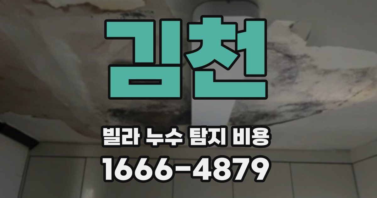 김천 빌라 누수 탐지 비용