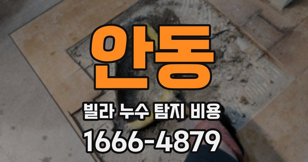 안동 빌라 누수 탐지 비용