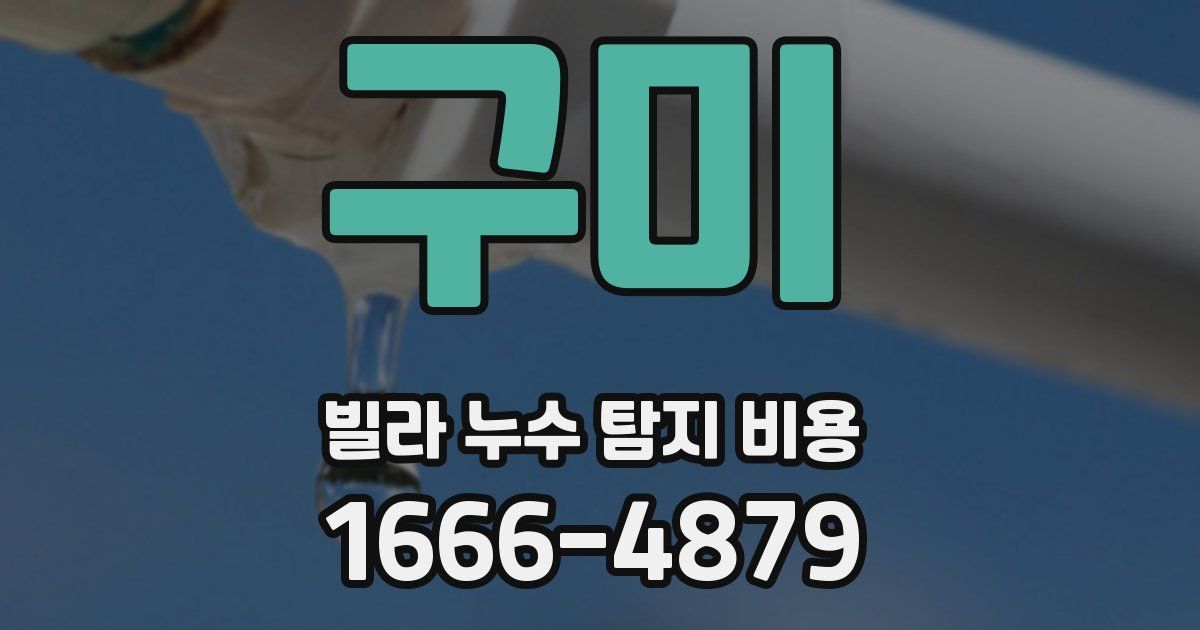 구미 빌라 누수 탐지 비용
