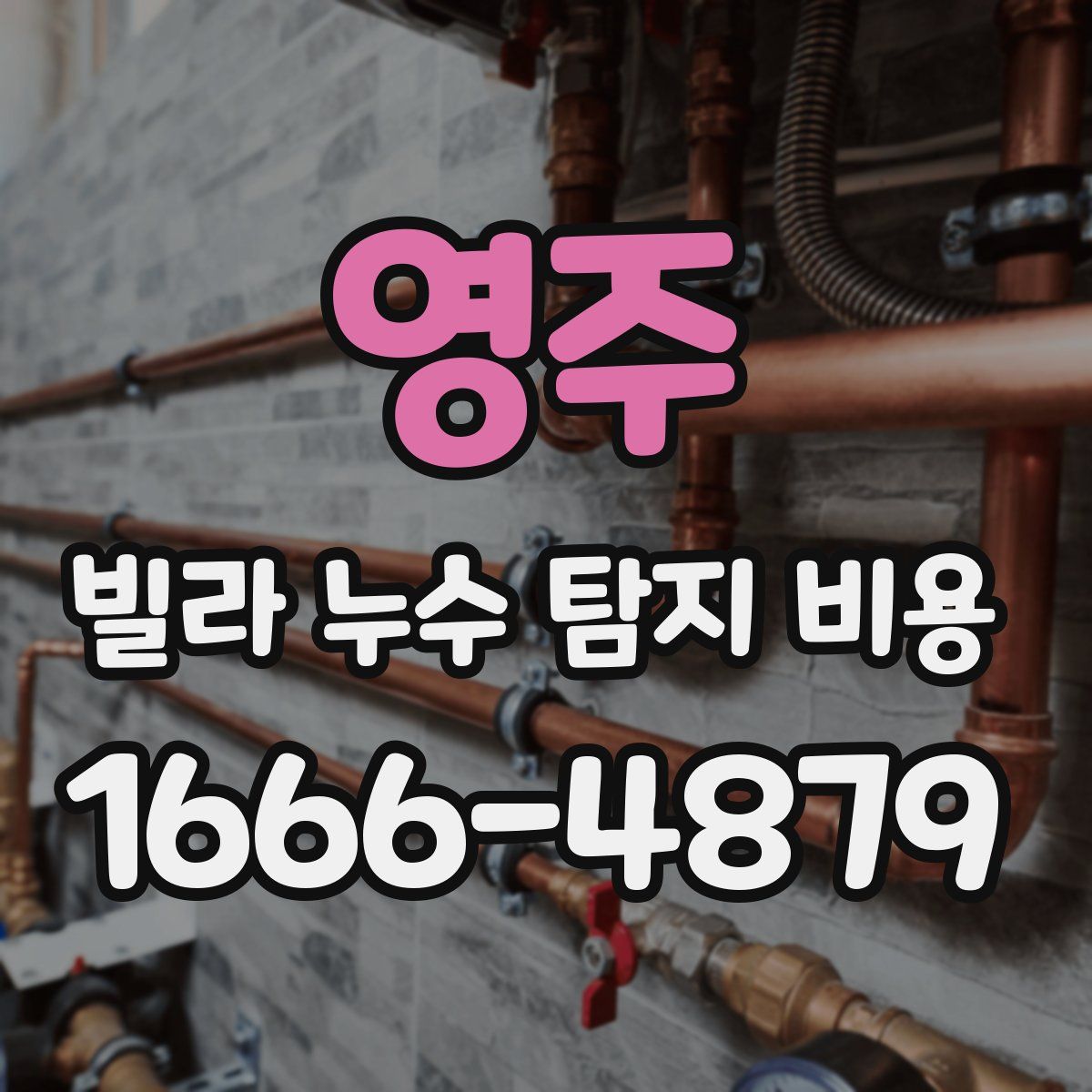 영주 빌라 누수 탐지 비용
