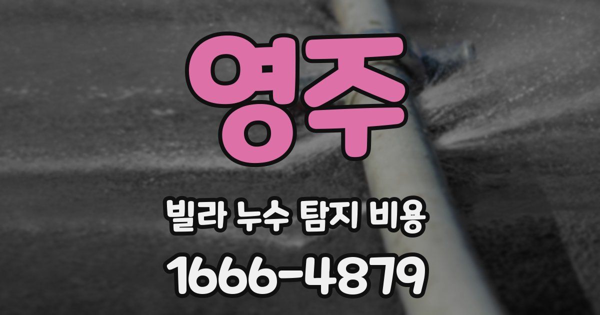 영주 빌라 누수 탐지 비용