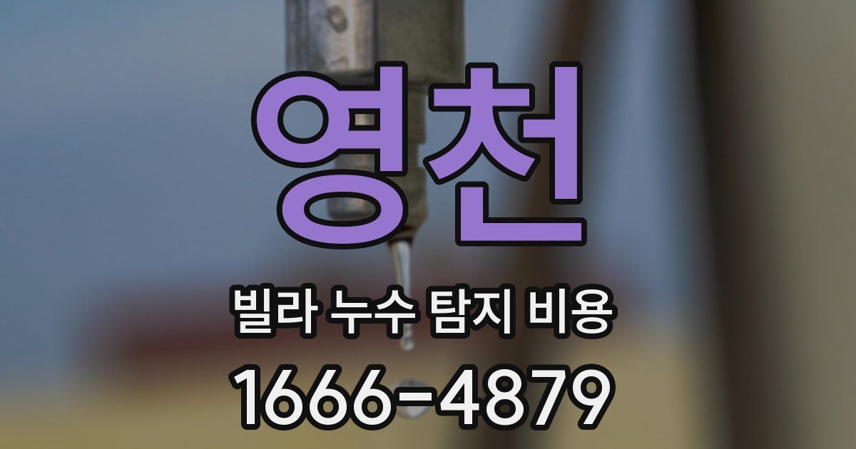 영천 빌라 누수 탐지 비용
