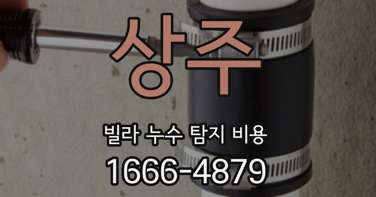 상주 빌라 누수 탐지 비용