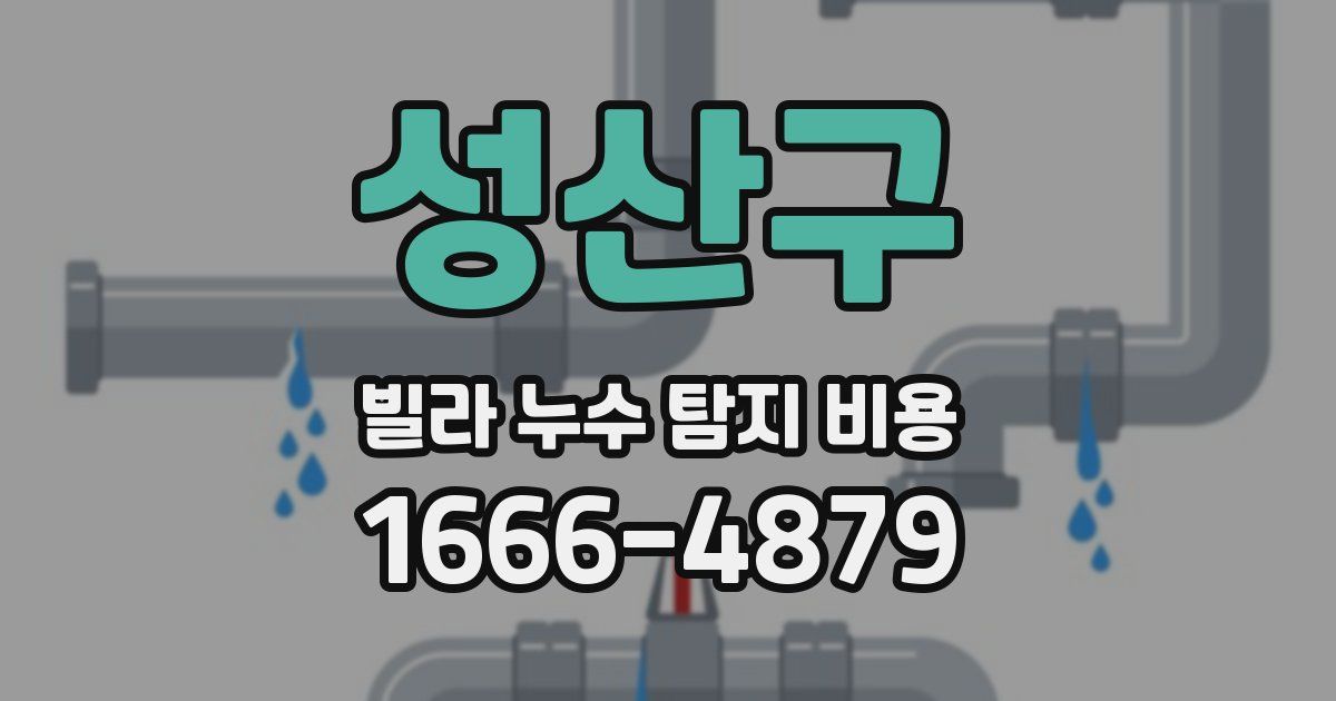 성산구 빌라 누수 탐지 비용