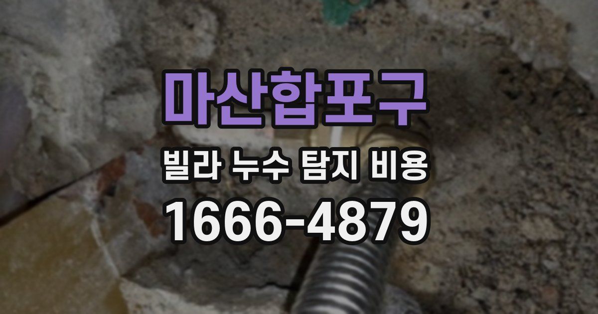 마산합포구 빌라 누수 탐지 비용
