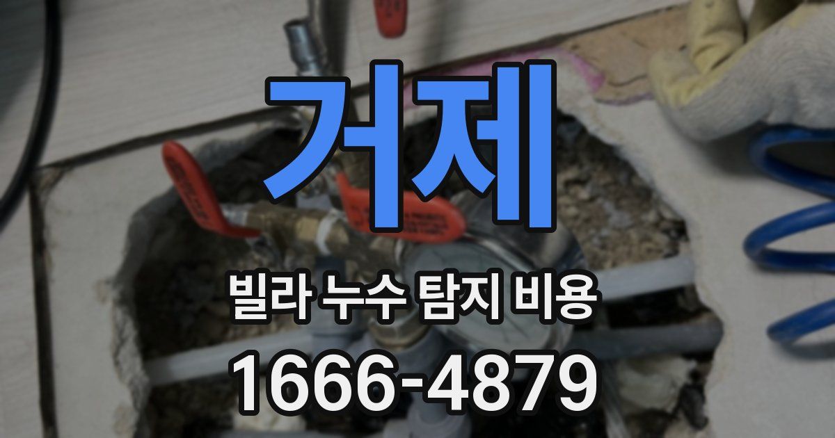 거제 빌라 누수 탐지 비용