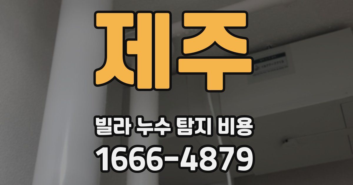 제주 빌라 누수 탐지 비용