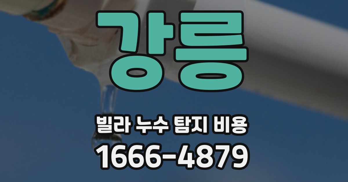 강릉 빌라 누수 탐지 비용