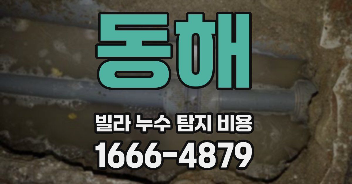 동해 빌라 누수 탐지 비용