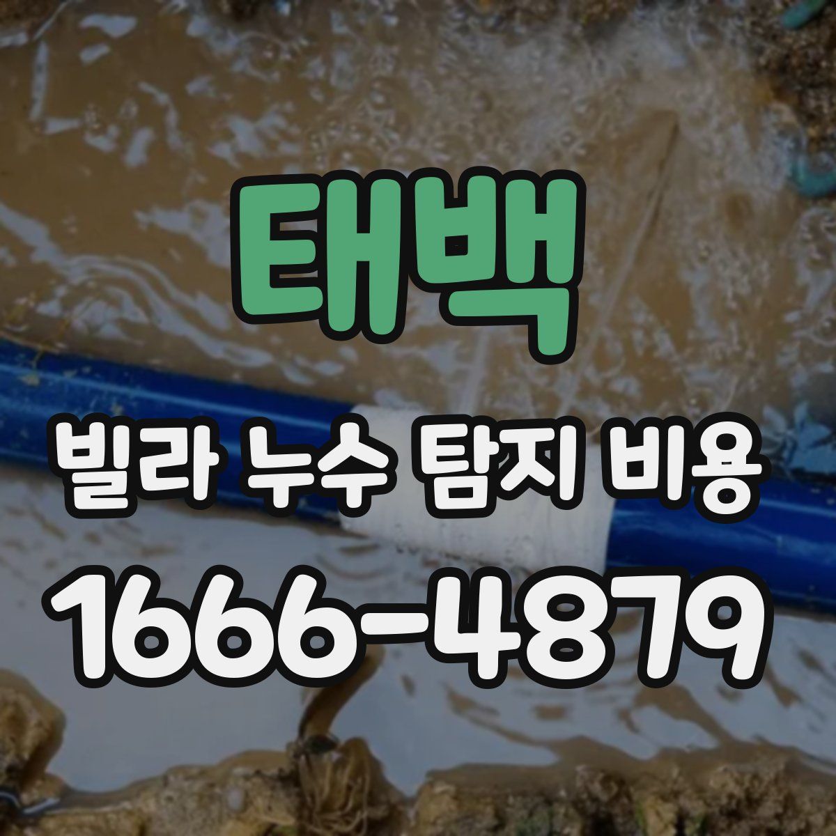 태백 빌라 누수 탐지 비용