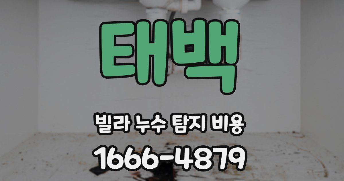 태백 빌라 누수 탐지 비용