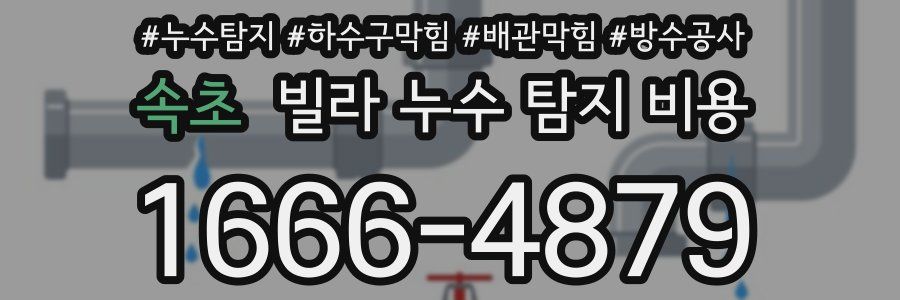 속초 빌라 누수 탐지 비용