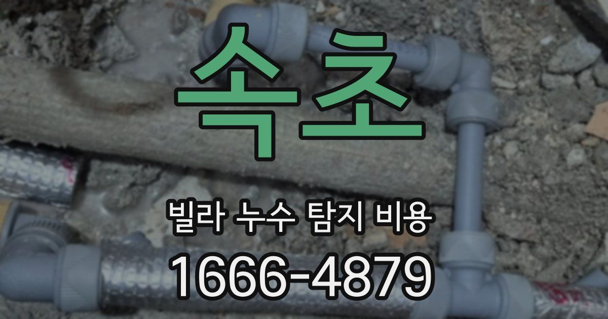 속초 빌라 누수 탐지 비용
