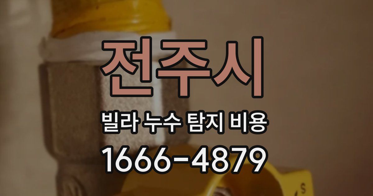 전주시 빌라 누수 탐지 비용