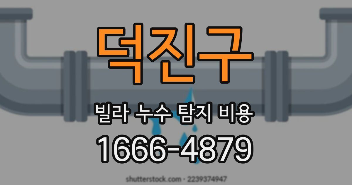 덕진구 빌라 누수 탐지 비용